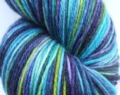 Kettle Dyed Sock Yarn, Superwash Merino, Cashmere and Nylon Fingering Weight, in "Field of Iris"
