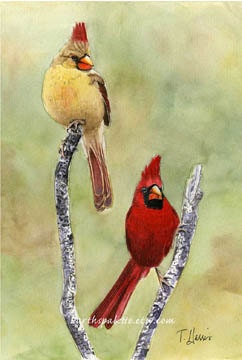 Red cardinal bird painting 8x10original watercolor painting wild birds original wall art earthspalette - Earthspalette