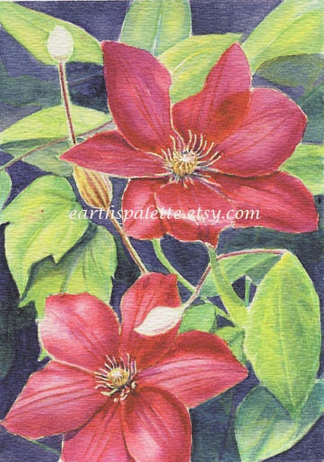 Red clematis flower painting 5x7 print from original watercolor painting floral earthspalette