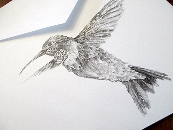 Fine Art Spring Greeting Cards Pencil Drawings Black White Blank Note Cards Birthday Thank You Thinking of You Stationery Hummingbird Art