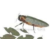 Archival Print 8X10 Bamboo Art Print Invasive Insects Emerald Ash Borer, Japanese Beetle and Torpedo Bug