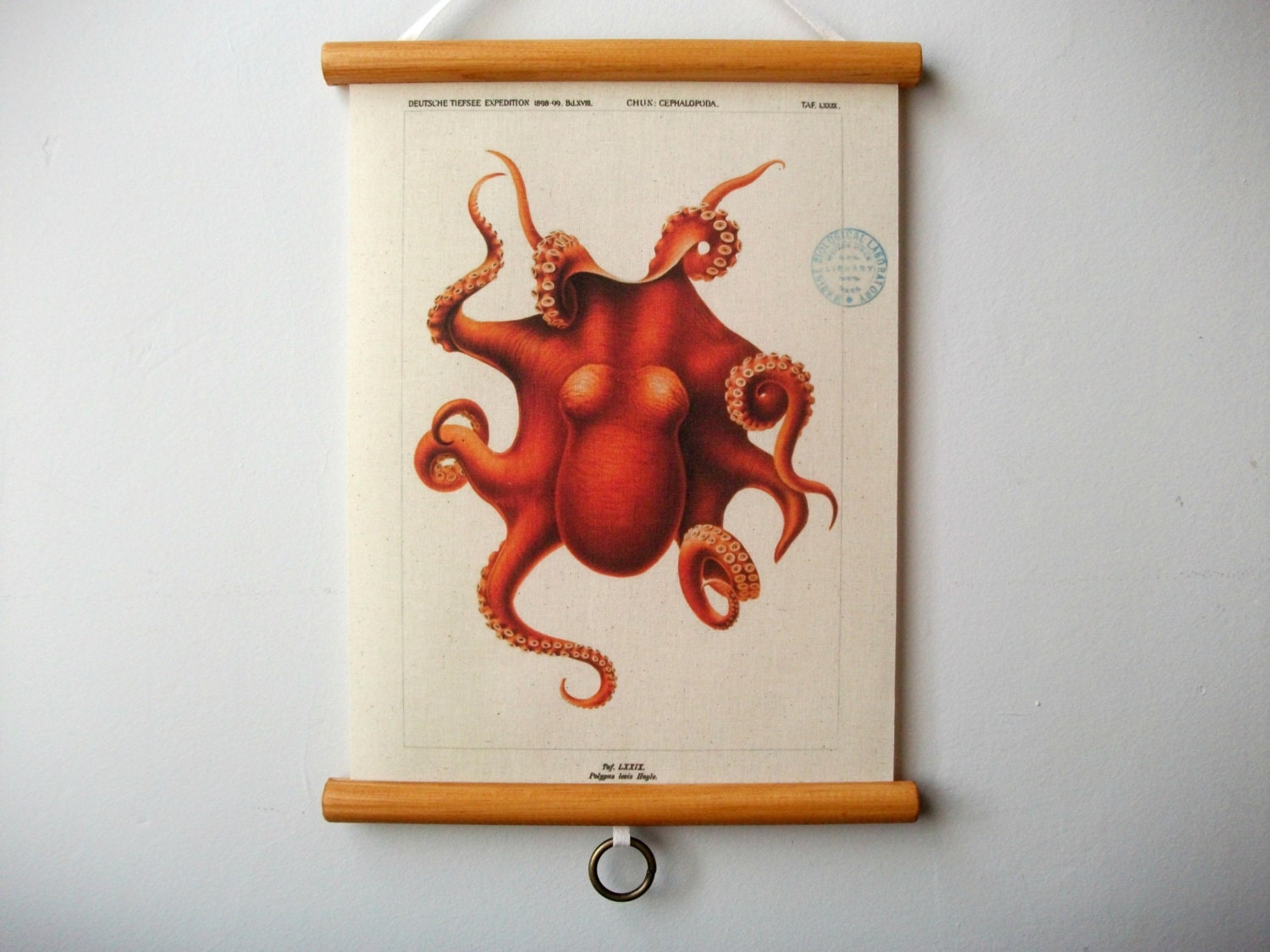 Mini Printed Fabric Vintage Style School Chart with Wood Trim - Orange Octopus (9" x 12")