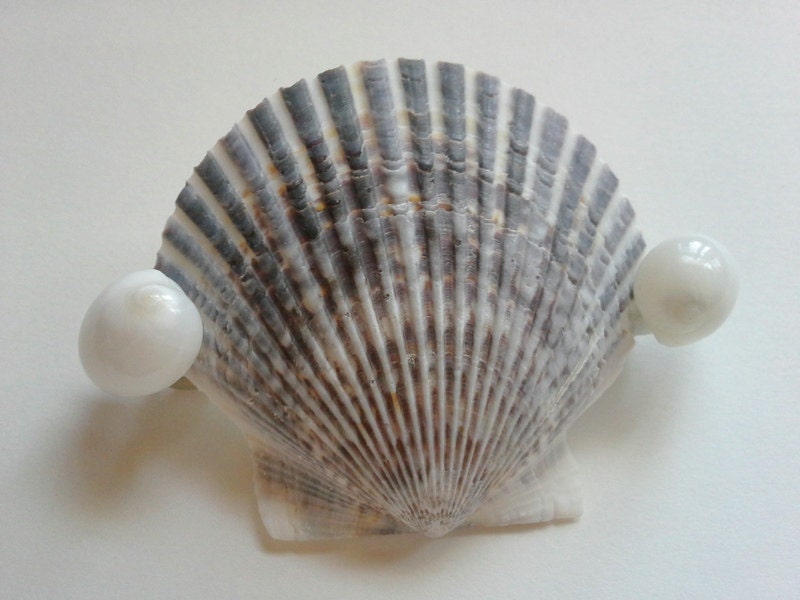 Sea shell beach hair barrette, mermaid hair clip, beach hair accessories