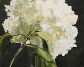 Hydrangea Flower Still Life Painting Original Oil on Wood Panel 10x10 inch Wall Decor