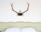 XL Cloud Blue Triangle Mounted 9 Point Elk Antler Spread