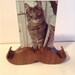 Mustache Picture Frame