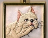 Muu the French Bulldog