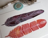 Feather Watercolor Painting - 8x10 Archival Print - Cobar Feathers