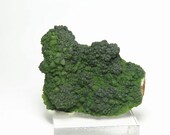 Green Conichalcite including calcite Druzy Mineral Specimen Mexico Free US Ship