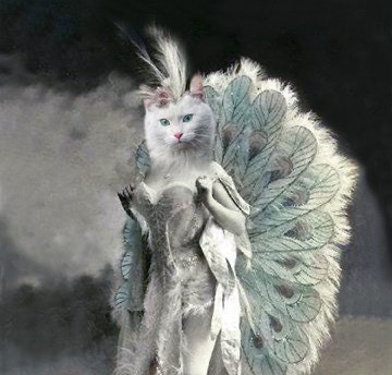 Nadia - Vintage Cat 5x7 Print - Anthropomorphic - Altered Photo - Photo Collage Art - Whimsical Art - Feline Art - Peacock Print - Gift Ide