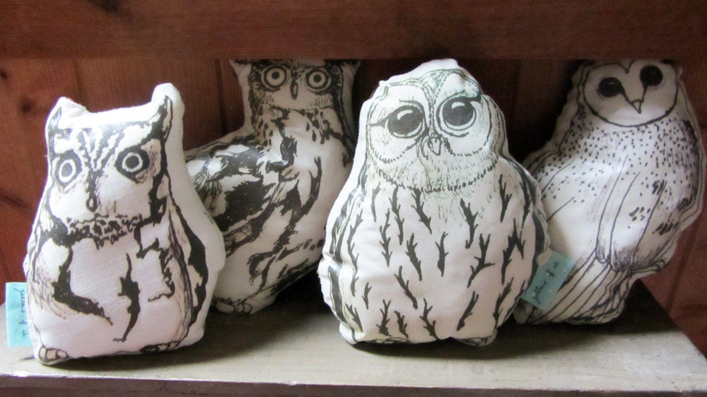 Adopt an Owl - Illustrated Owl plush