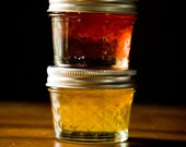 Citrus Duo Jelly Gift Set Two (2) 4 oz Jars Lemon Honey Jelly & Blood Orange Marmalade Homemade