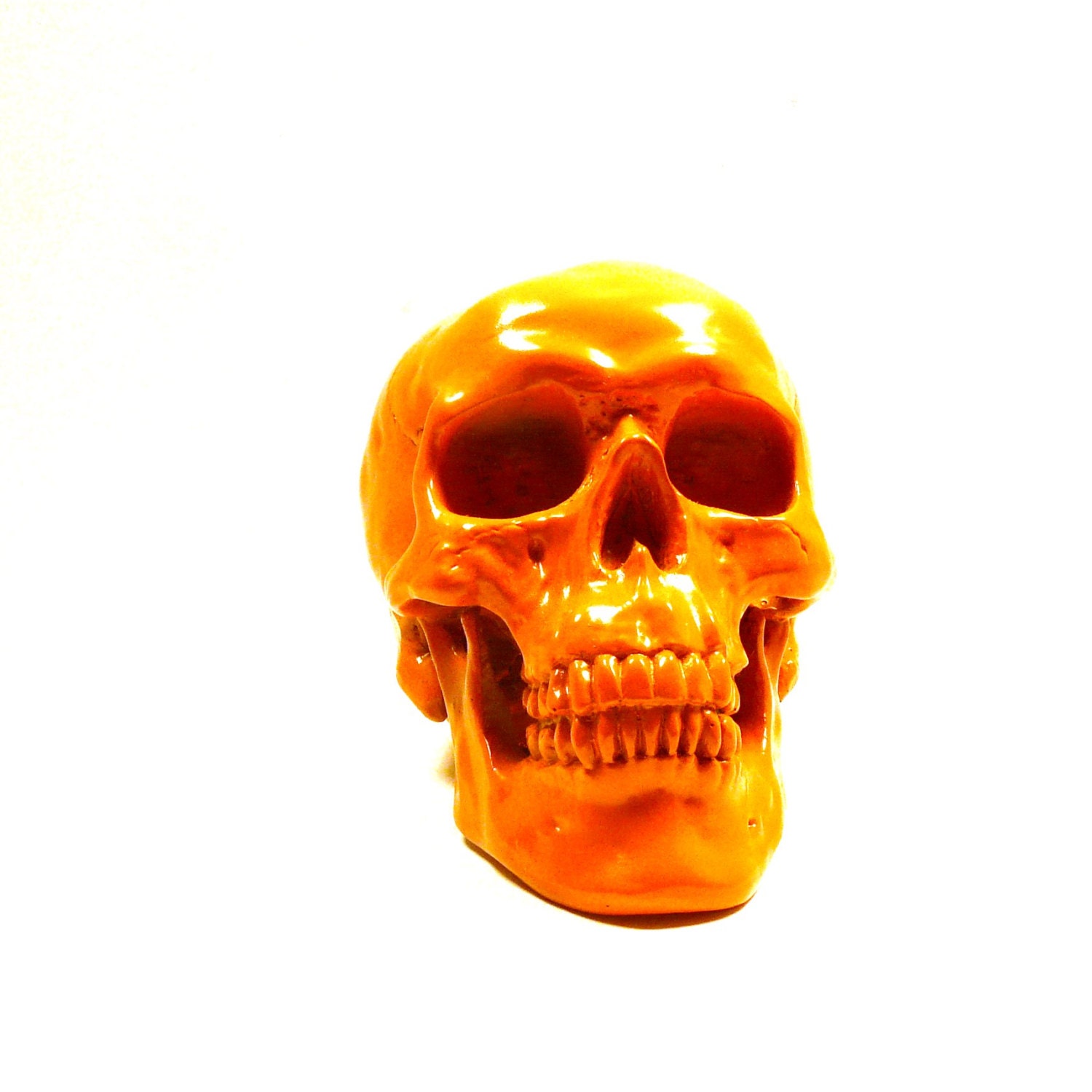 skull home decor, anatomy art, orange, skull head, bright home accents, skull art, body parts, unique