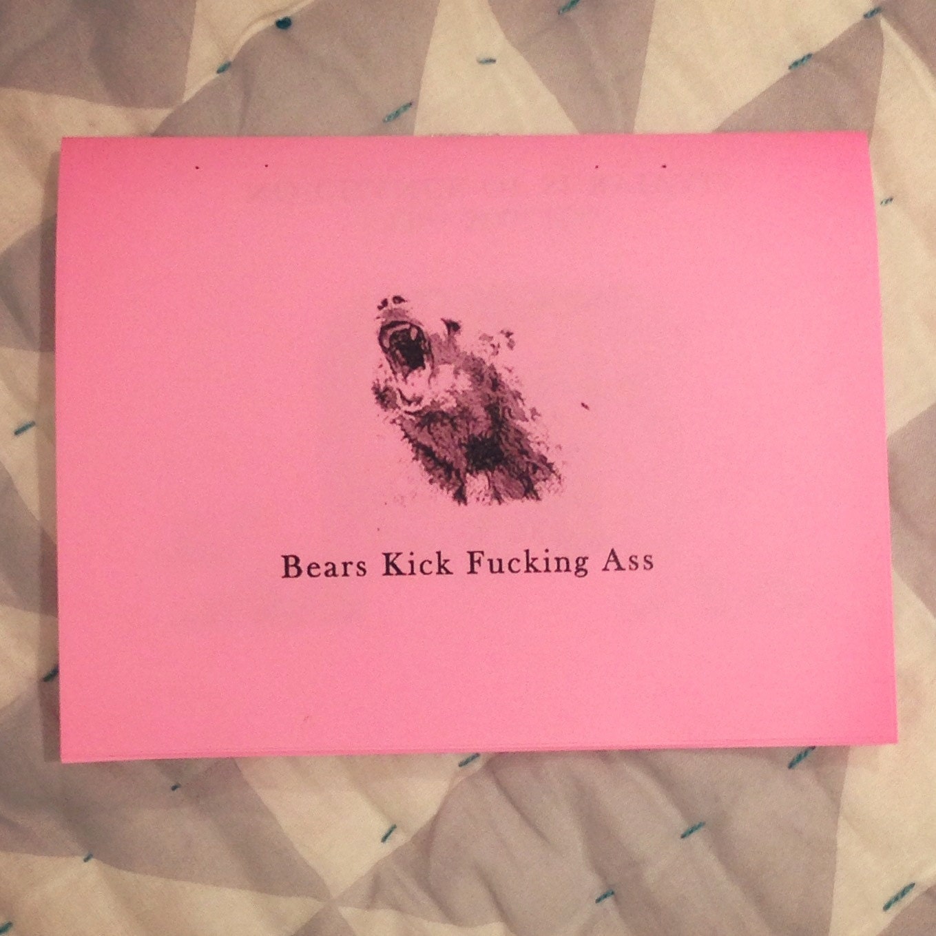 BEARS KICK ASS activity zine