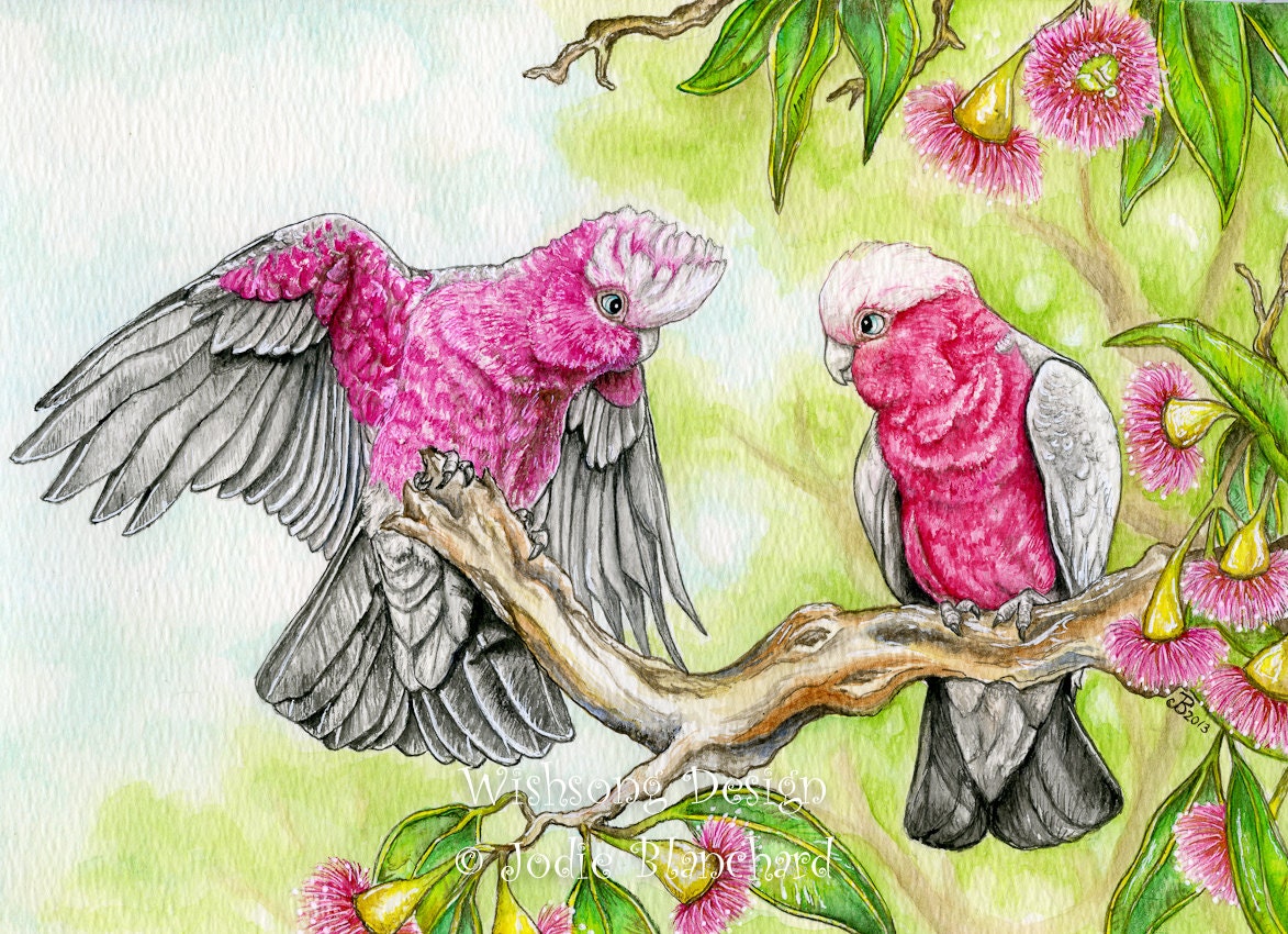 Cockatoo painting - bird aceo - pink and grey galah's - bird art - whimsical bird aceo - australian animal - 2.5 x 3.5 inch print