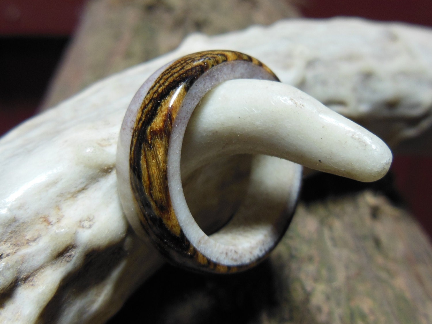 Antler and Mexican Bocote, Custom Antler and Wood Ring