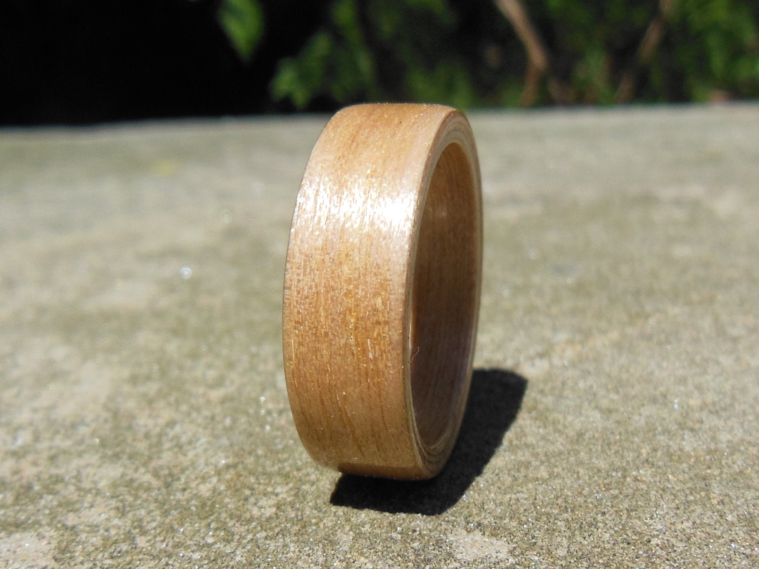 White Birch Bentwood Ring, Custom Wood Ring