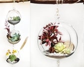 Beach Hanging Glass Bubble Succulent Sand Terrarium