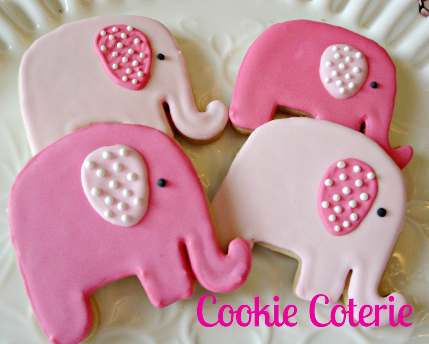 Baby Elephants Decorated Sugar Cookies Cookie Favors One Dozen