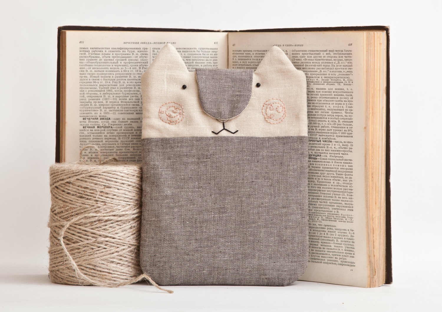 Cat iPad mini Case.