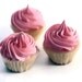 Vanilla Mini Cupcakes