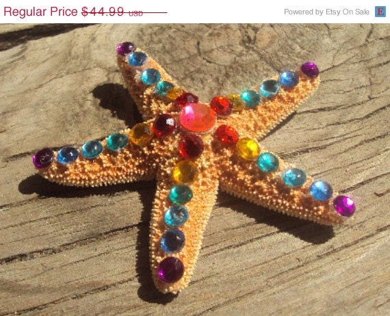 50% OFF SALE Starfish Hair Clip by Amanda Lynne LUXE