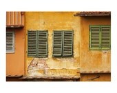 Rustic Old Shutters Ponte Vecchio Florence Italy Gold Green Terra Cotta Peeling Paint 8x12 Small Print Travel Photography