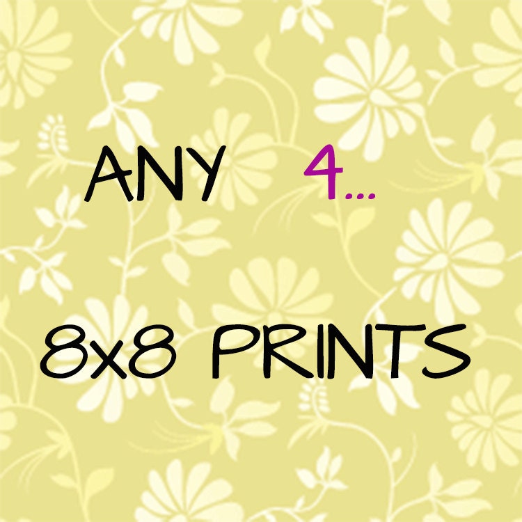 DISCOUNT ANY Four 8x8 Fine Art Prints Set Landscape Nature Still Life Back and White For Her For Him Home Decor