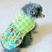 Pet Clothing - Pinwale Corduroy Toy Breed Dog Dress - Made to Order w/Lime & White Argyle Bodice and Multicolored Ladybug Print Skirt