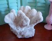 Vintage Large Coral Shell/Beach Decor/ Wedding Decor/ Garden Decor/Home Decor
