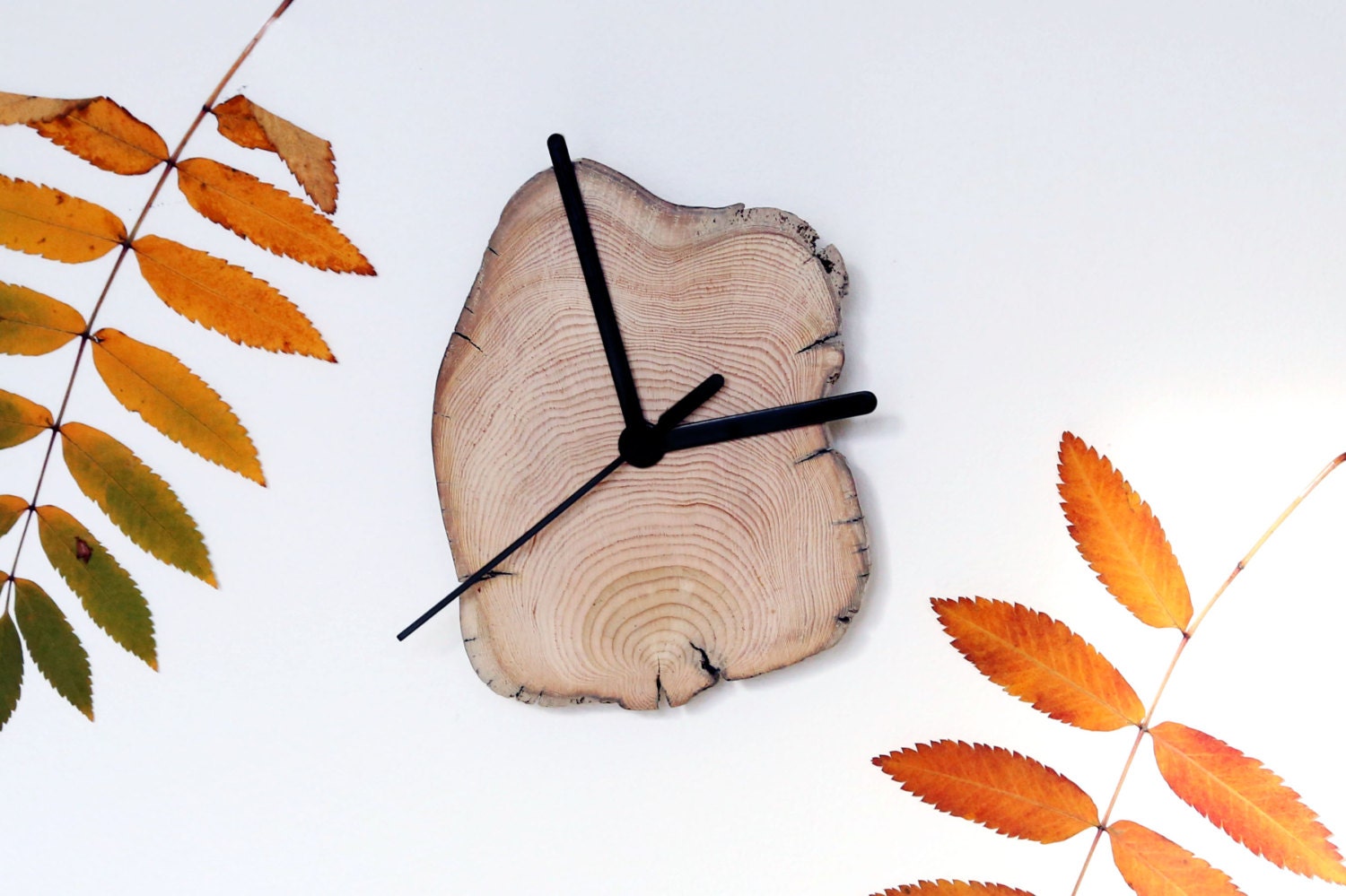 Driftwood Clock. Wooden Clock. Modern Wall Clock. Living Room Decor. Rustic home. Reclaimed Wood.