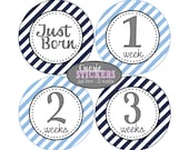 Monthly Onesie Stickers, FULL SET Just Born - 12 months, Onesie Stickers, First Year Stickers