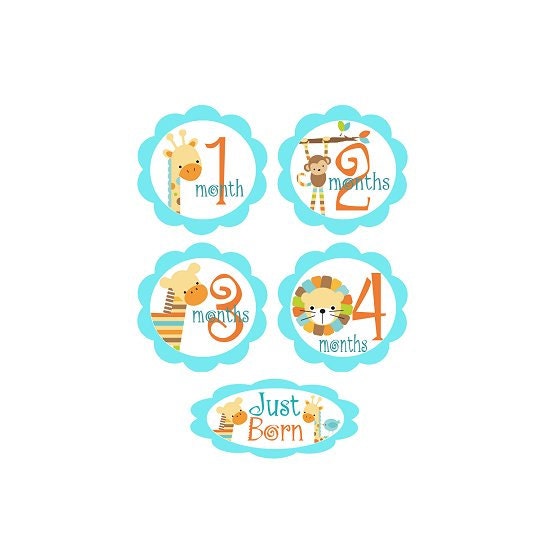 Baby Monthly Onesie Ironon  Transfers - Jungle Animals Aqua  No103 Plus Just Born