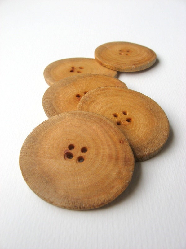 Natural Sycamore Wood Buttons Large 1 1/2 inch wooden tree branch button ( set of 5 )