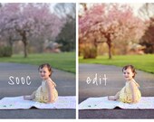 PSE Twisted Enchantment Photoshop Actions