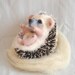 Hedgehog "Kid".. I will make this item for your order