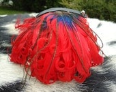 Couture dog collar. Slim superior quality soft calf leather with black and red curl feather drop.