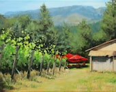 Original Vineyard Painting - "Delfino Vineyard"