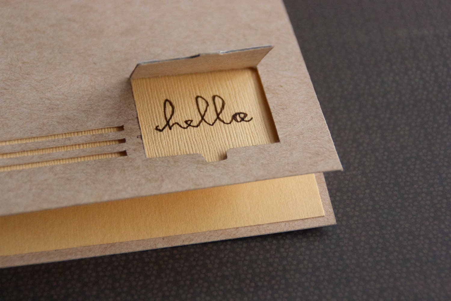 Set of 8 PEEKING Blank Note Cards