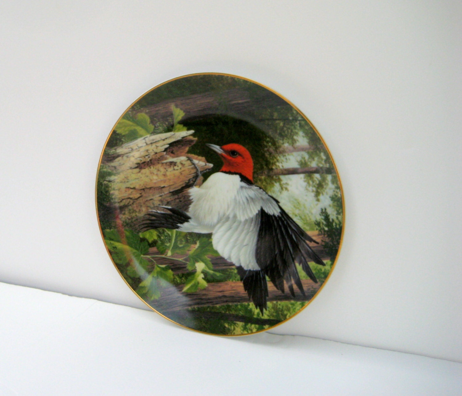 National Audubon Society Fine Porcelain Plate, First Edition by A.J. Rudisill called Woodpecker "Exploring the Woods"