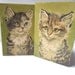 Paint by Number Kitty in Green set of 2