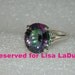 Reserved for Lisa LaDue