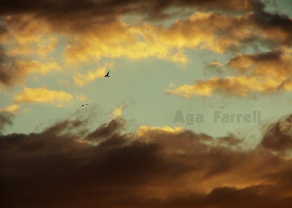 Sky Print, Icarus Wings, Close to the Sun, Icarus Myth, Greek Mythology, Icarus, Flying Icarus, Gold Cloud, Brown Print, 8x12