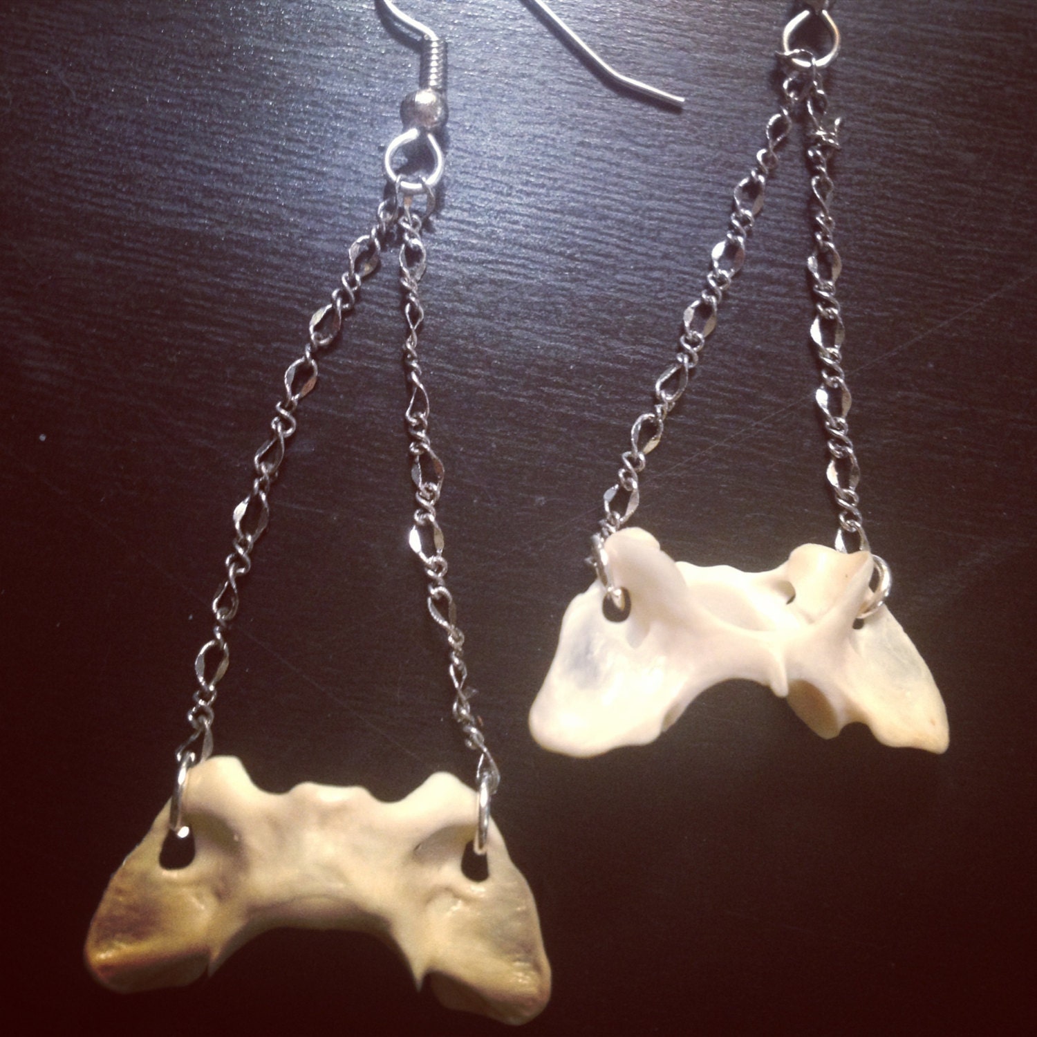 Vertebrae Triangle Dangle