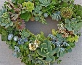 SUCCULENT WREATH - DIY, 65 succulent cuttings, 65 floral pins, 11" wreath form