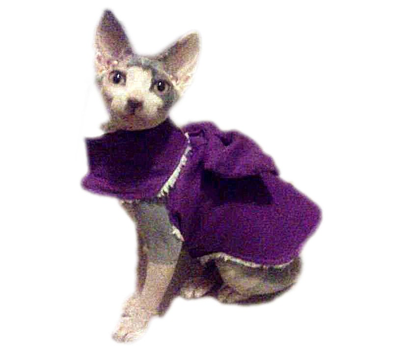 Cat Jacket Big Bow Sherpa Lined Coat