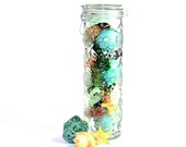 Glass Pasta Jar, Retro Fruit Motif - Tall, Large Spaghetti Size - Rubber Gasket Seal, Wire Bail Clamp - Vintage Home Kitchen Decor or Use