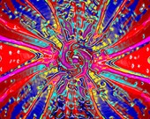 Floyder Flower Photo Series Downloadable JPG Files or Fine Art Prints Matted & Signed