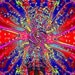 Floyder Flower Photo Series Downloadable JPG Files or Fine Art Prints Matted & Signed