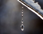 Garden in winter: a frozen dew drop on a snowy branch